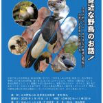 【まちの元気塾】身近な野鳥のお話！