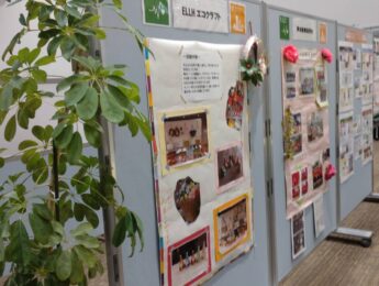 市民団体の活動報告展示(2月のご案内) 市民団体の活動報告展示(2月のご案内)